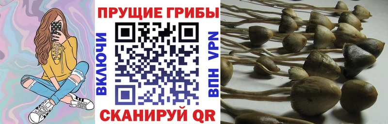 Галлюциногенные грибы Magic Shrooms  MEGA ссылки  Павловская 